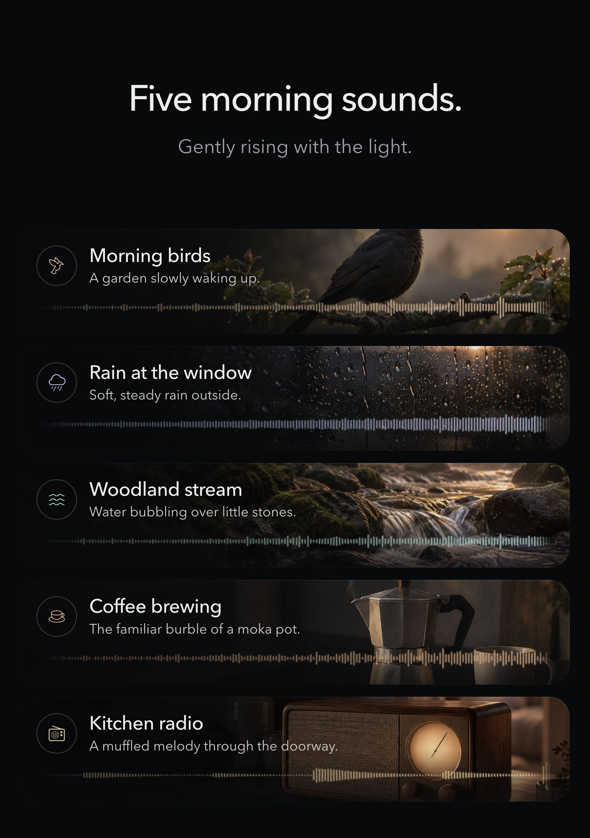 Five morning sounds, from birds to kitchen radio.